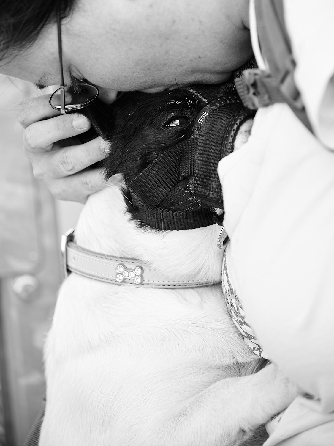 Denise Tombers Fotograf Ausschnitt schwarzweiß Hund Mensch Porträt innige Berührung am Kopf