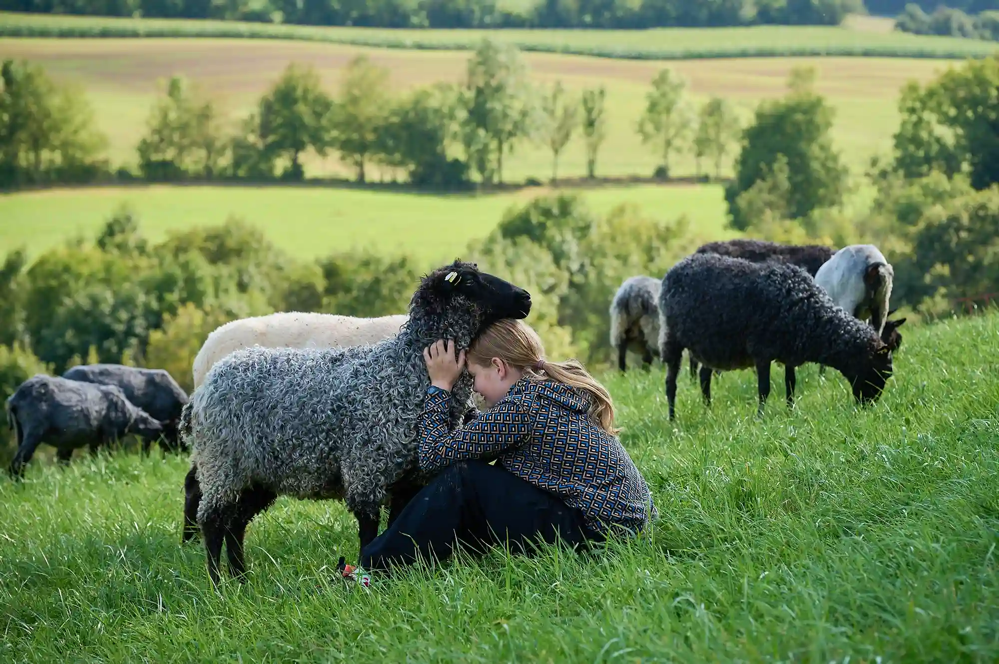 denisetombers_fotografin_Maedchen_mit_Schaf_SH_Schafe_scheren_1084_237_11zon